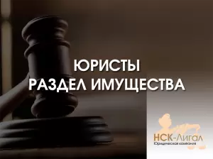 Фотография НСК-Лигал 2