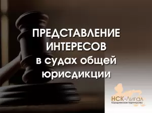 Фотография НСК-Лигал 0