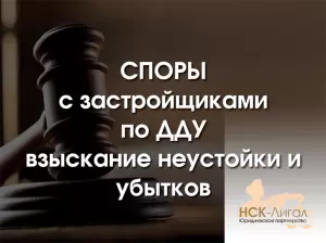 Фотография НСК-Лигал 3