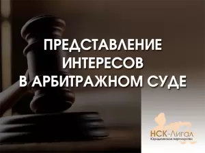 Фотография НСК-Лигал 4