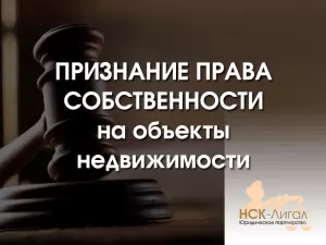 Фотография НСК-Лигал 1